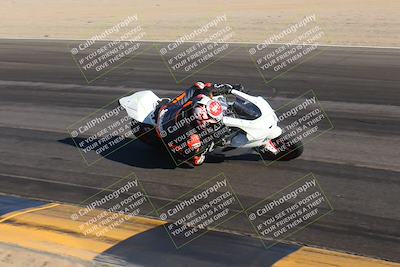 media/Nov-12-2023-SoCal Trackdays (Sun) [[5d1fba4e7d]]/Turn 14 Inside (2pm)/